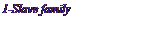 Text Box: 2-Slave family